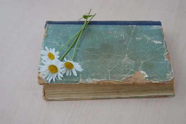 Masanın üzerinde eski bir kitap ve papatyalar yatıyor. Arka planda hafif bir şey var.