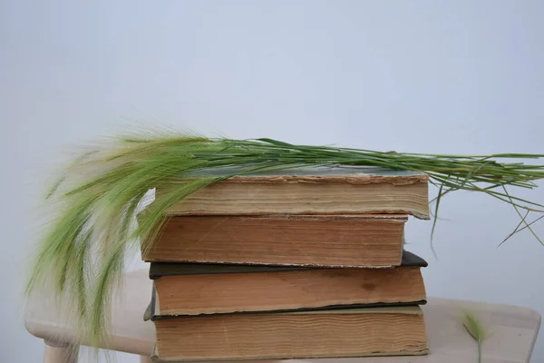 Tahta sandalyedeki eski kitaplar, çiviler kitaplar, hafif arka plan, okul, üniversite, eğitim, ders kitapları, sonbahar hasadı, antikalar, eski kitaplar, basım sayfaları üzerine uzanır.