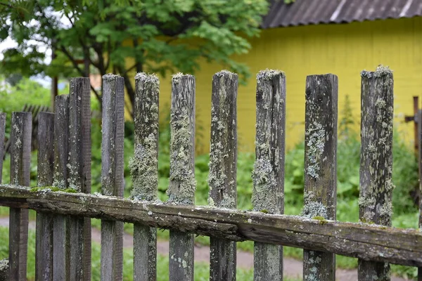 Bahçesinde yosun olan eski ahşap çit, yakın plan, odak noktası, arka plan odak dışı.