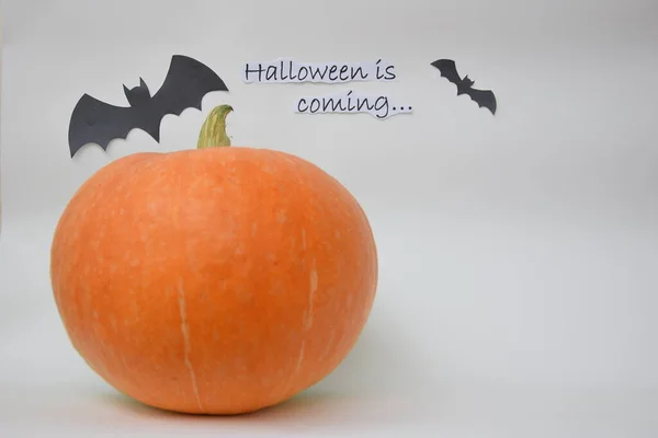 Hafif bir arka planda turuncu balkabağı, cadılar bayramı, bayram, yazılı yarasalar, cadılar bayramı yakında geliyor, mesaj atılacak bir yer, kartpostal ya da poster gibi.