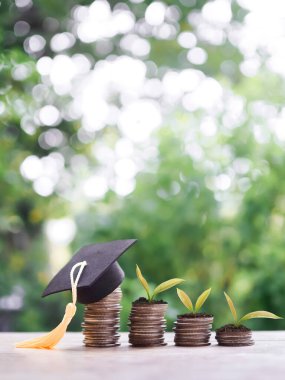 Mezuniyet şapkası ve bitkiler bozuk para yığınıyla büyüyor. Eğitim için para biriktirme kavramı, öğrenci kredisi, burs, gelecek eğitim ücretleri