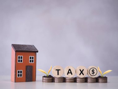 Minyatür ev, tahtadan bloklar, vergi ve bozuk para yığınları üzerinde büyüyen bitkiler. Ev için vergi ödemeye hazırlık konsepti, emlak yatırımı, ev kredisi, gelecekte gayrimenkul.