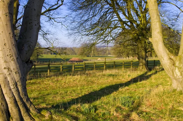 East Yorkshire Country Estate parklandskap — Stockfoto