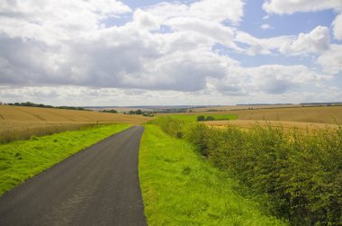 Yorkshire Wolds, hasat zamanı