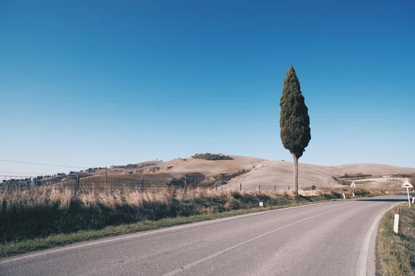 Italian landscape in tuscany — Stock Photo, Image