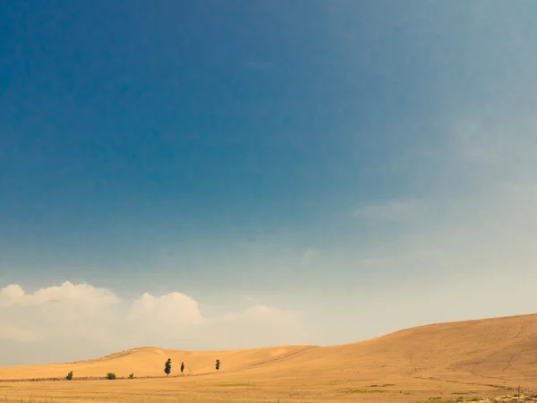 Italian desert landscape in basilicata — Stock Photo, Image