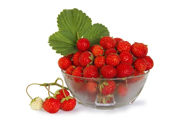 bir tabak içinde vitaminler