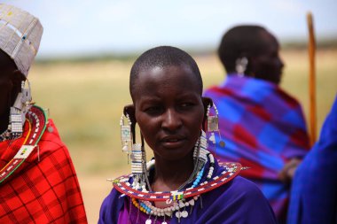 Masai Mara, Kenya Ocak 2014. Geleneksel mücevherler içindeki Masai kadınları. 