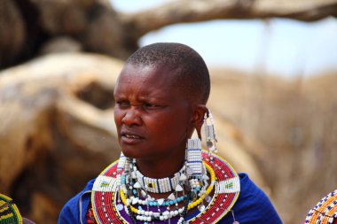 Masai Mara, Kenya Ocak 2014. Geleneksel mücevherler içindeki Masai kadınları. 
