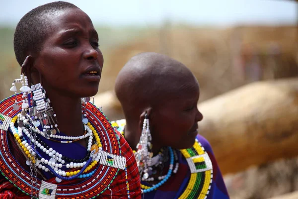 Masai Mara, Kenya Ocak 2014. Geleneksel mücevherler içindeki Masai kadınları. 
