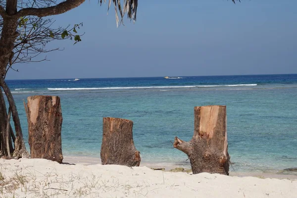 Trzy Treetrunks Plaży Bali — Zdjęcie stockowe