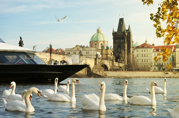 Croisière sur la rivière Vltava à Prague Photos De Stock Libres De Droits