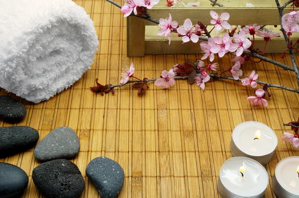 Spa Themed Composition — Stock Photo, Image