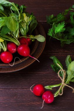 Turp karanlık bir arka plan üzerinde