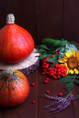 sonbahar dekorasyonu