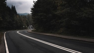 Bulutlu bir günde dağ yolu ve yağmurlu bir sonbahar gününün sisi gizem ve cazibe manzarası yaratır. Kopyalama alanı