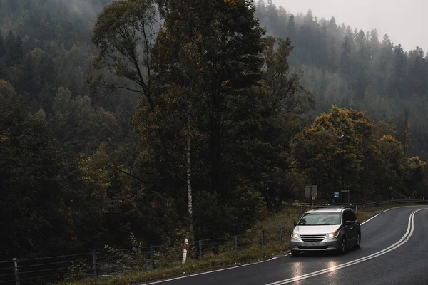 Bulutlu bir günde dağ yolu ve yağmurlu bir sonbahar gününün sisi gizem ve cazibe manzarası yaratır. Kopyalama alanı