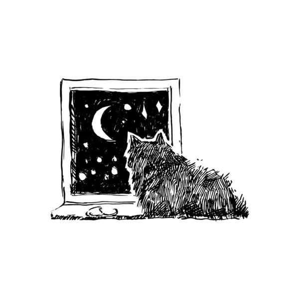 Ručně Kreslený Inkoust Ilustrace Kočkou Měsícem — Stockový vektor