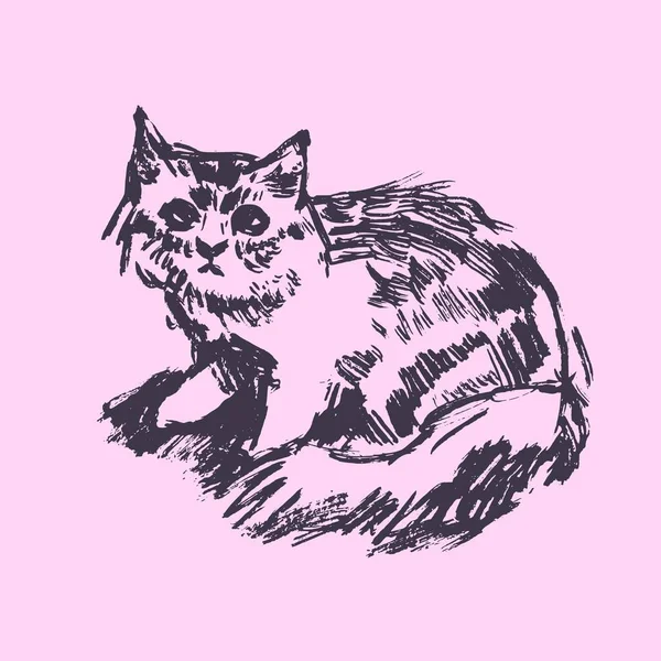 Χειροποίητη Διανυσματική Απεικόνιση Γάτα Γραφιστική Vintage Σχεδίαση — Διανυσματικό Αρχείο