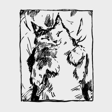 Kediyle el çizimi vektör çizimi. Grafiksel vintage tasarımı.