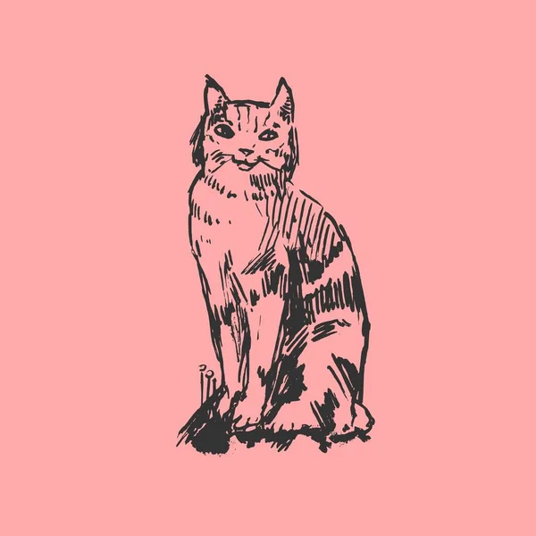 Kočka Ručně Kreslený Vektorový Nákres Grafický Inkoust Zvířecí Charakter — Stockový vektor