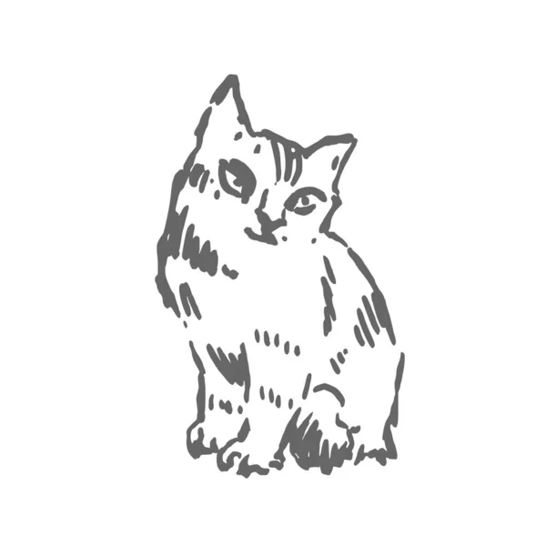 Gato Dibujo Vectorial Dibujado Mano Estilo Tinta Gráfica Carácter Animal — Vector de stock