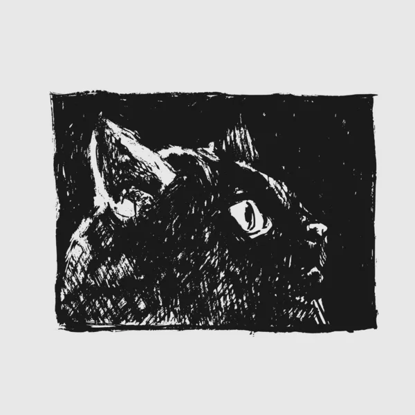 Gato Desenho Vetorial Desenhado Mão Estilo Tinta Gráfica Caráter Animal — Vetor de Stock