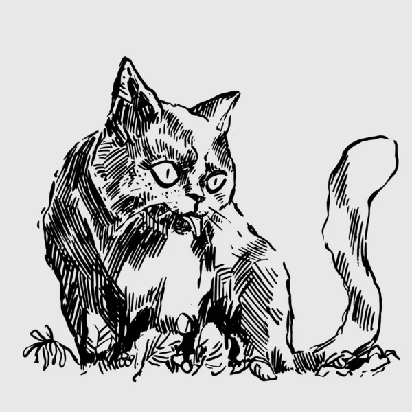 Die Katze Handgezeichnete Vektorzeichnung Druckerschwärze Tierischer Charakter — Stockvektor