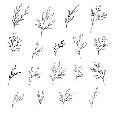 Botanik doğrusal yaprak ve çiçek seti. Soyut minimalist yapraklar koleksiyonu, yaratıcı bitkisel sanat. Elle çizilmiş düğün otları, bitki ve zarif yapraklı baş harfleri, davetiye için tarihi kaydedin. Vektör illüstrasyonu.