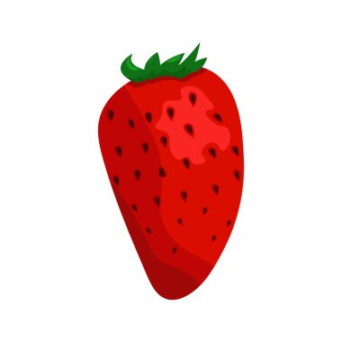 Beyaz arka planda vektör çilek. Düz çizim. Kırmızı çilek.