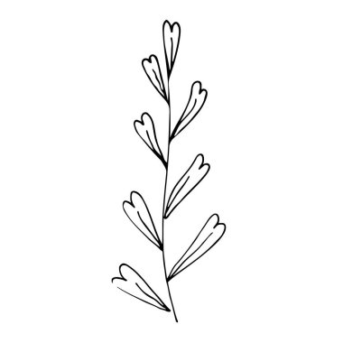 Botanik doğrusal yaprak seti. Soyut minimalist yapraklar koleksiyonu, yaratıcı bitkisel sanat. Elle çizilmiş düğün otları, bitki ve zarif yapraklı baş harfleri, davetiye için tarihi kaydedin. Vektör illüstrasyonu