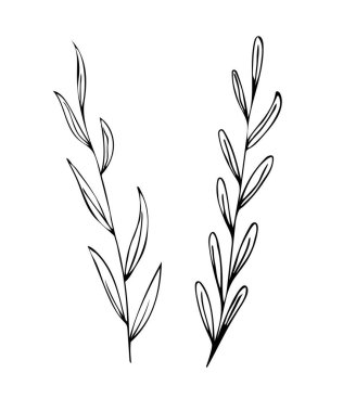 Botanik doğrusal yaprak seti. Soyut minimalist yapraklar koleksiyonu, yaratıcı bitkisel sanat. Elle çizilmiş düğün otları, bitki ve zarif yapraklı baş harfleri, davetiye için tarihi kaydedin. Vektör illüstrasyonu