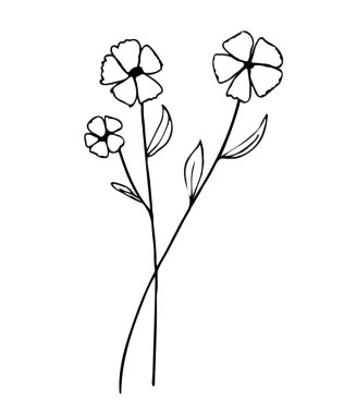 Botanik doğrusal yaprak seti. Soyut minimalist yapraklar koleksiyonu, yaratıcı bitkisel sanat. Elle çizilmiş düğün otları, bitki ve zarif yapraklı baş harfleri, davetiye için tarihi kaydedin. Vektör illüstrasyonu