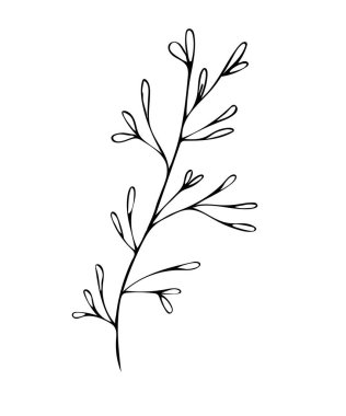 Botanik doğrusal yaprak seti. Soyut minimalist yapraklar koleksiyonu, yaratıcı bitkisel sanat. Elle çizilmiş düğün otları, bitki ve zarif yapraklı baş harfleri, davetiye için tarihi kaydedin. Vektör illüstrasyonu