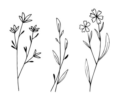 Botanik doğrusal yaprak seti. Soyut minimalist yapraklar koleksiyonu, yaratıcı bitkisel sanat. Elle çizilmiş düğün otları, bitki ve zarif yapraklı baş harfleri, davetiye için tarihi kaydedin. Vektör illüstrasyonu
