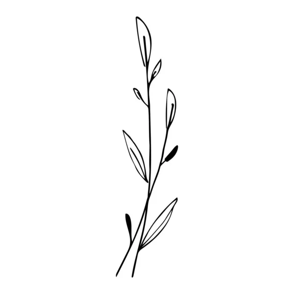 植物の線形葉セット アブストラクトミニマルな葉のコレクション 創造的なハーブアート 招待状のためのエレガントな葉を持つ手描きの結婚式のハーブ 植物やモノグラムは 日付を保存します ベクターイラスト — ストックベクタ