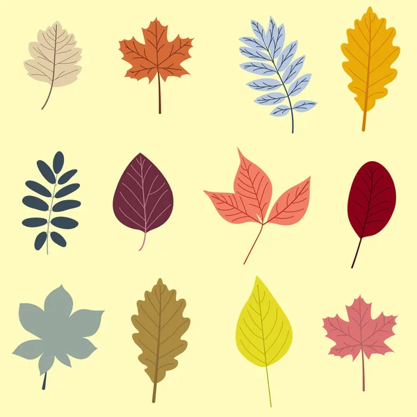 Elementos Desenhados Mão Folhas Botânicas Flor Bandeira Sazonal Outono Setembro — Vetor de Stock