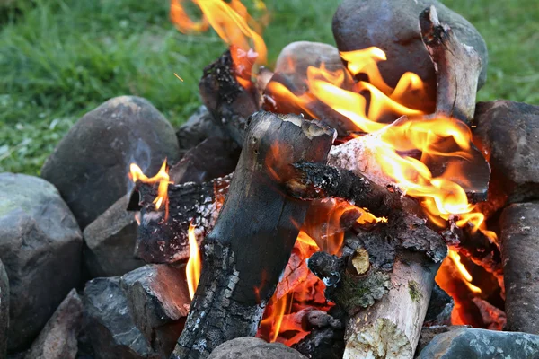 Kamp ateşi.