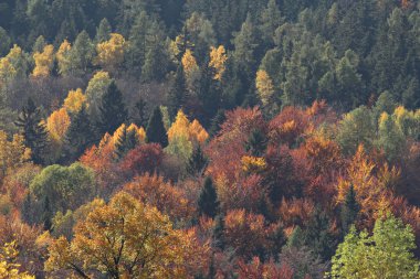 Fransa Alpleri'nde sonbahar