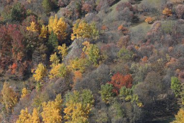 Fransa Alpleri'nde sonbahar