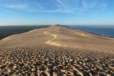 pile Fransa Dune