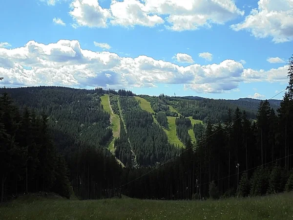 Panoramablick Auf Den Berghang Sommer Mährisch Schlesische Beskiden Sommer Naturszenerie — Stockfoto
