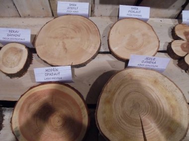 Olomouc, Çek - 04 27 2018: Flora Sergisi 'nde beş ahşap ağaç çemberine yakın plan