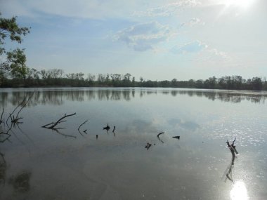 Suya batmış dalları ve pürüzsüz suya yansıyan yaprak döken ağaçlarla dolu sakin bir gölet. Öğleden sonra güneşinin altında Poodri Korunaklı Arazi Bölgesi 'nde bulutların altında.