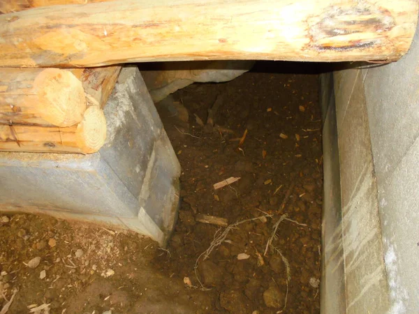 Derin bir porsuk yuvası girişine yakın plan, sert kazılmış toprak beton bir temelle çerçevelenmiş ve gölgeli ışık odunları istiflenmiş.