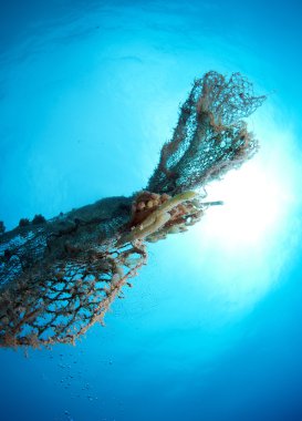 Balık ağı terk edilmiş 