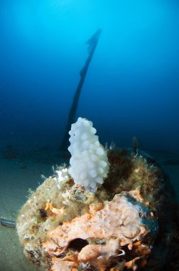 Balık ağı terk edilmiş 