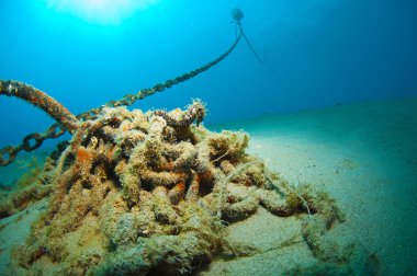Deniz atı nereye sakladın işte