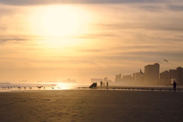 Arkadan aydınlatmalı Beach olay yerinde günbatımı