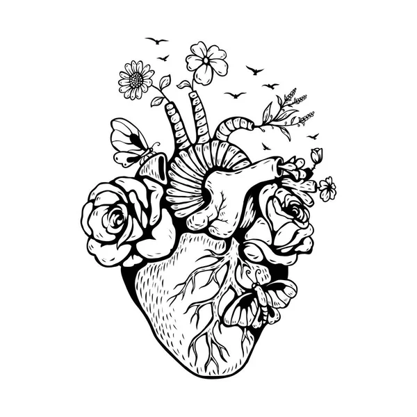 Illustration Anatomical Heart Flower — Διανυσματικό Αρχείο